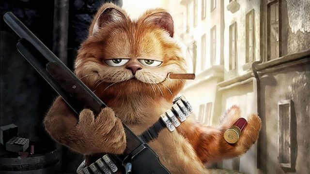 Cat 9