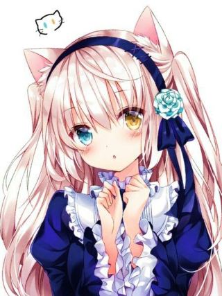 Neko 4