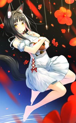 Neko 1