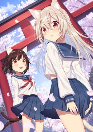 Neko 6