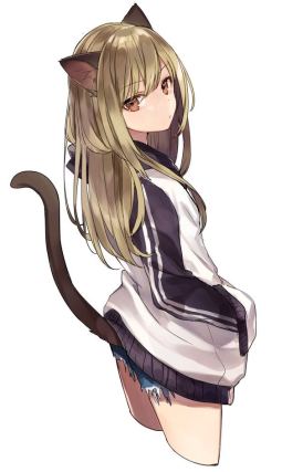 Neko 3