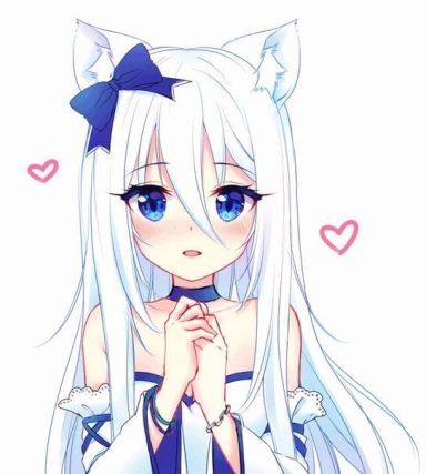 Neko 5