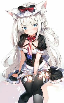 Neko 1