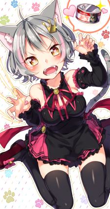 Neko 1