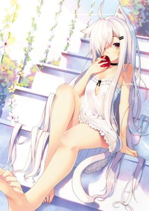 Neko 4
