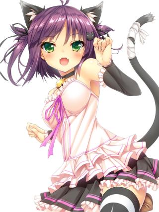 Neko 2