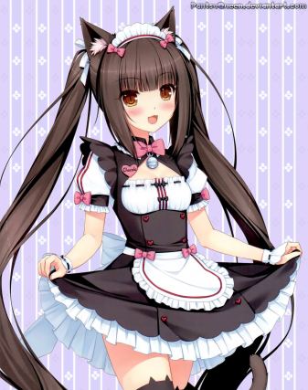 Neko 6