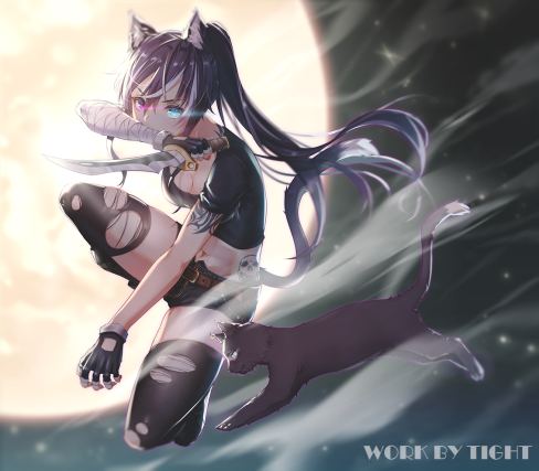 Neko 6