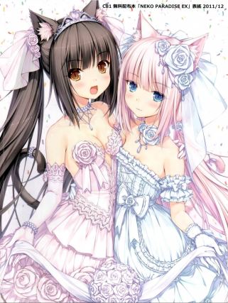 Neko 8