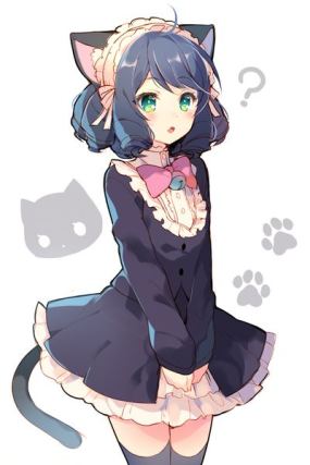 Neko 1