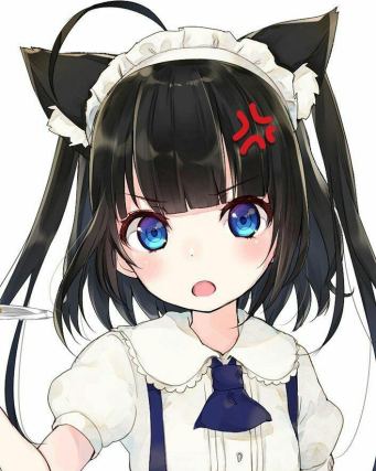Neko 1