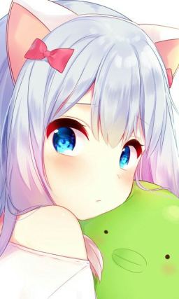 Neko 6