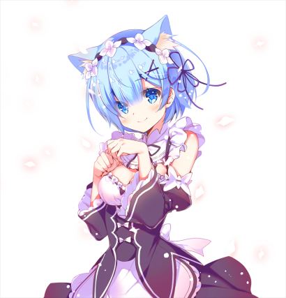 Neko 1