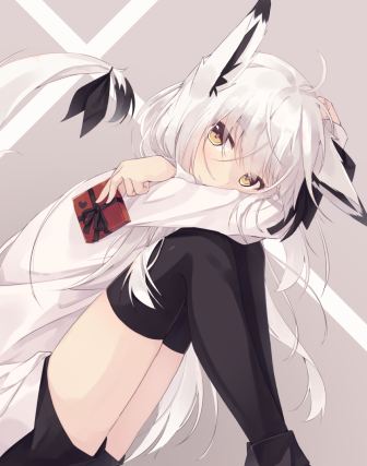 Neko 5