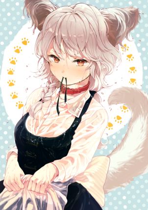 Neko 5