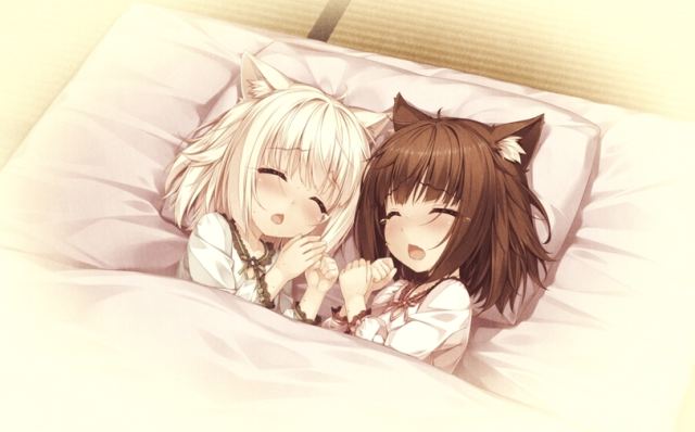 Neko 2