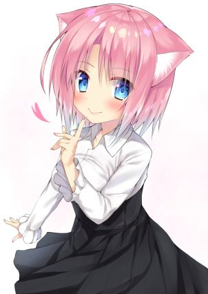 Neko 5