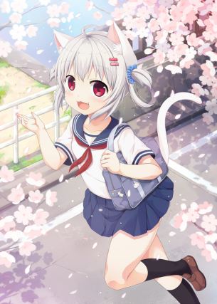 Neko 5