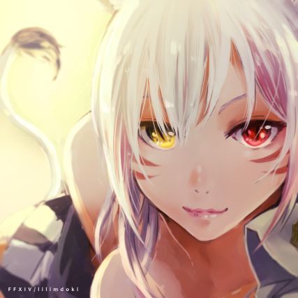 Neko 5