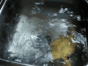Duck 3